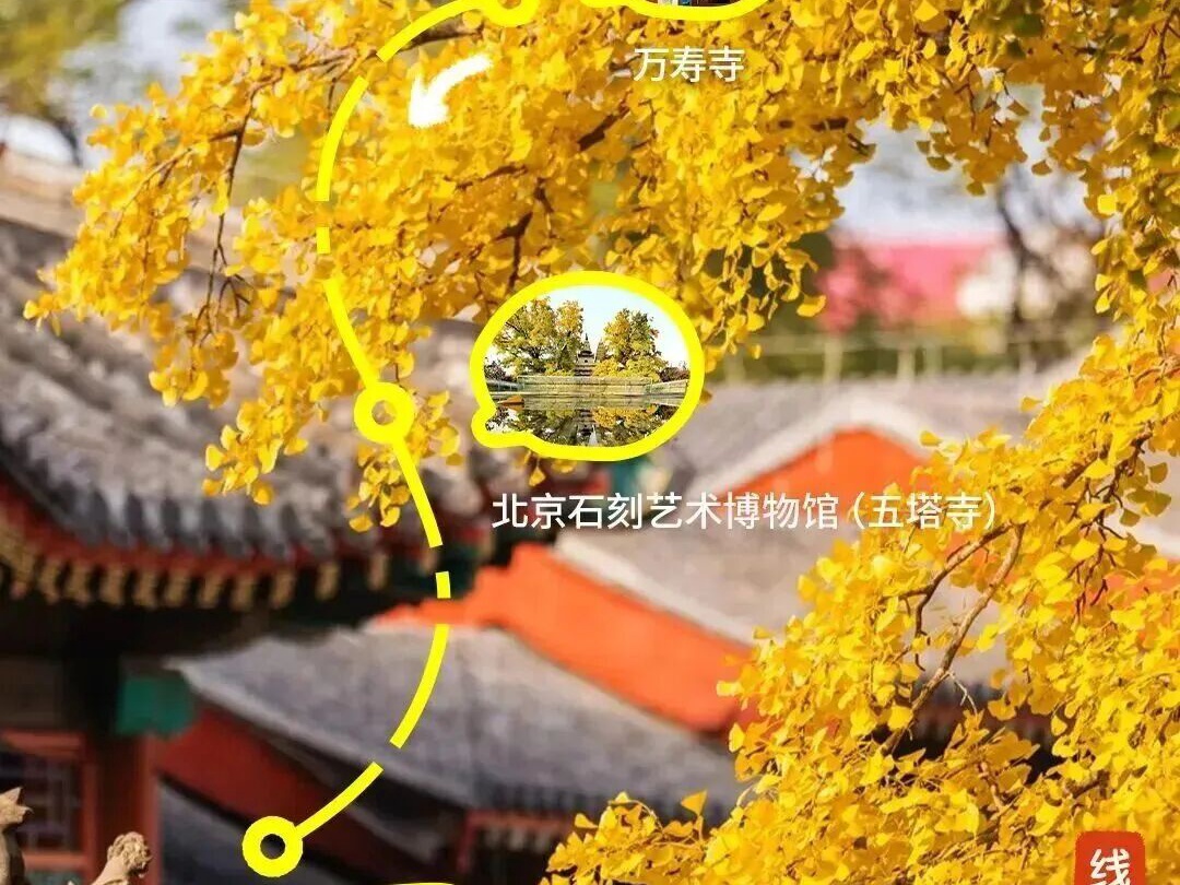 El Buró Municipal de Cultura y Turismo de Beijing ha lanzado 10 rutas turísticas con tema de "Pasear por Beijing: Apreciar el Otoño a través de la Arquitectura Antigua"