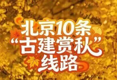 古建赏秋,才是北京的秋日限定