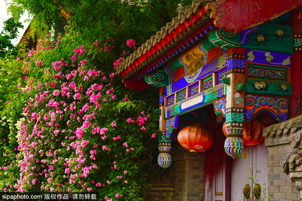 Прогулка по культурным улицам вдоль центральной оси Пекина - почувствуйте уникальное очарование "пекинского стиля"