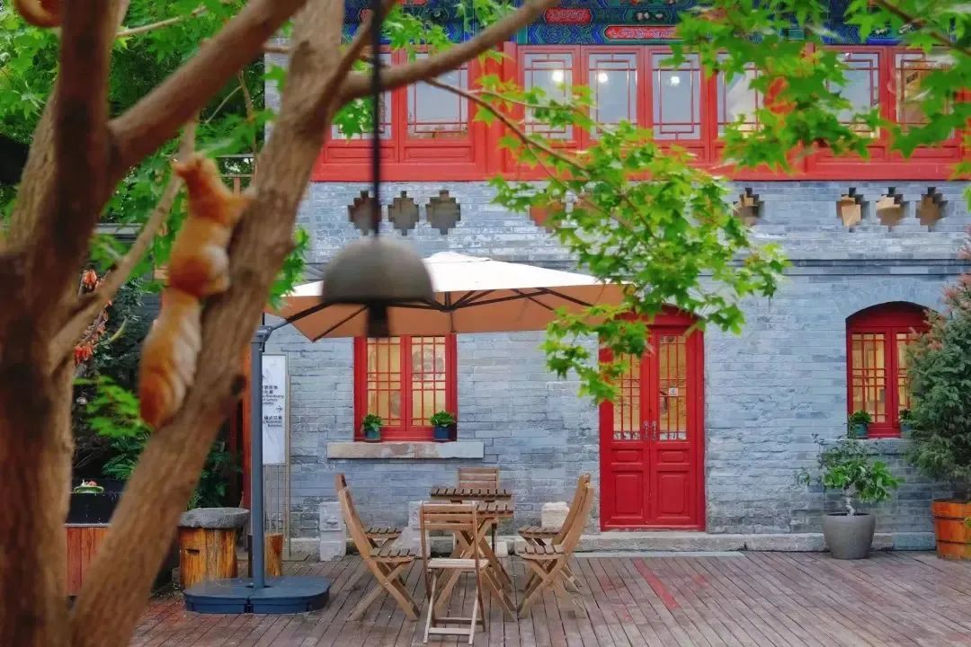 打卡小众景点，畅享北京文化之旅