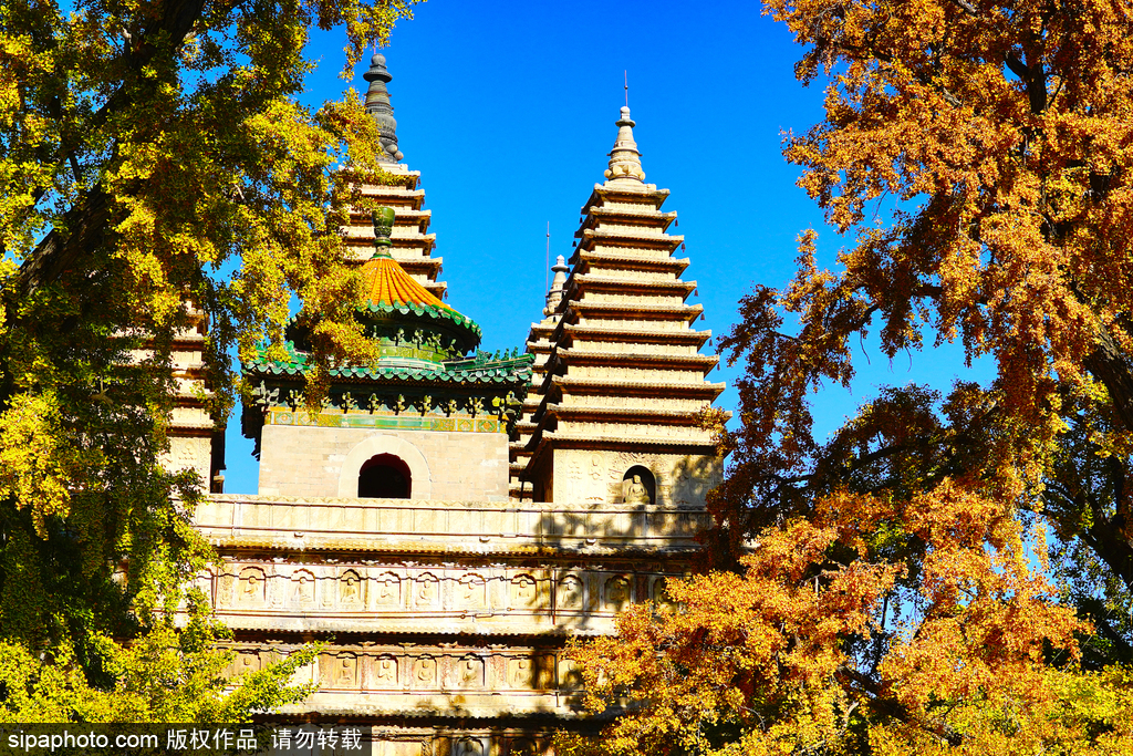 這道金黃的絕美秋景里藏著古韻京華