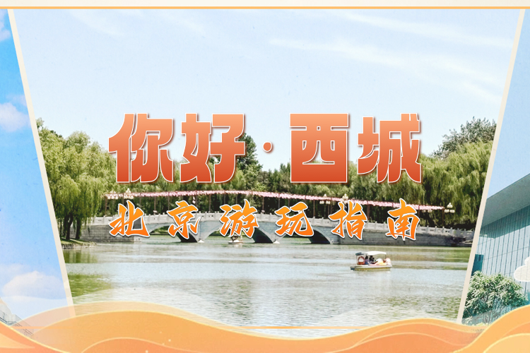 你好，西城