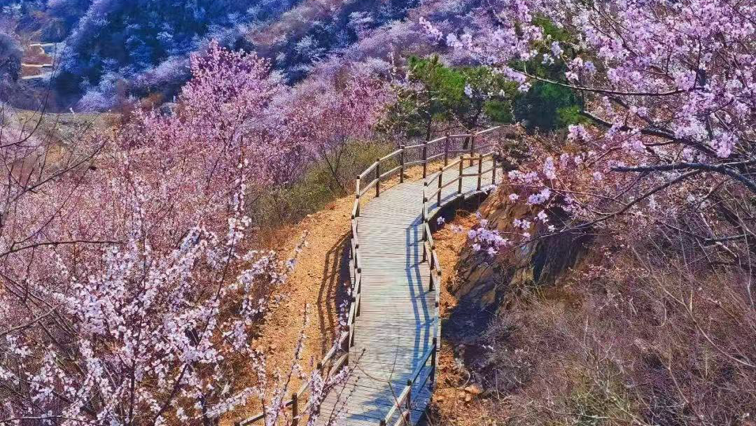 今日開(kāi)賽！解鎖昌平周邊N種玩法，超全攻略來(lái)了！