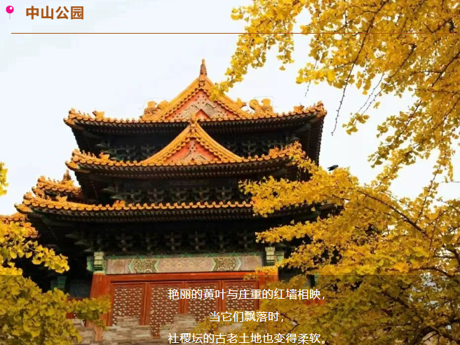 L'automne de Beijing : Bancs de romance en trois minutes