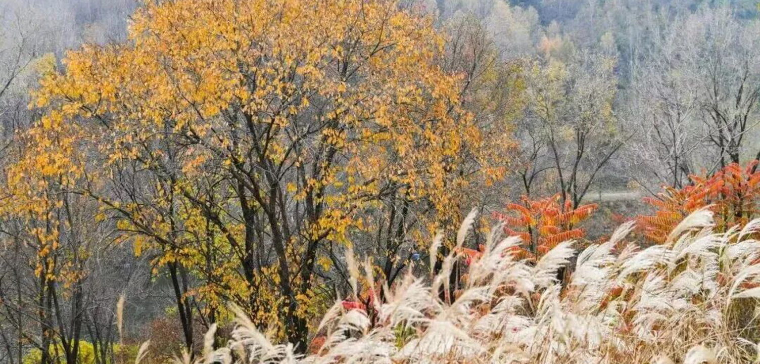 全運會如火如荼！去北京這里感受冬奧激情