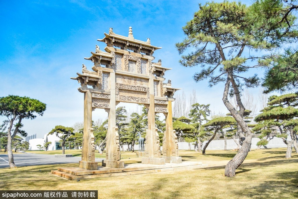 松の木 Amazon｜盆栽卓上 中国の禅シミュレーション偽の松の木を歓迎する松の