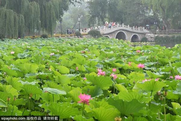 第 10 个：十一假期接待指南！不要再问我来北京玩什么了！：星空体育平台信誉好0