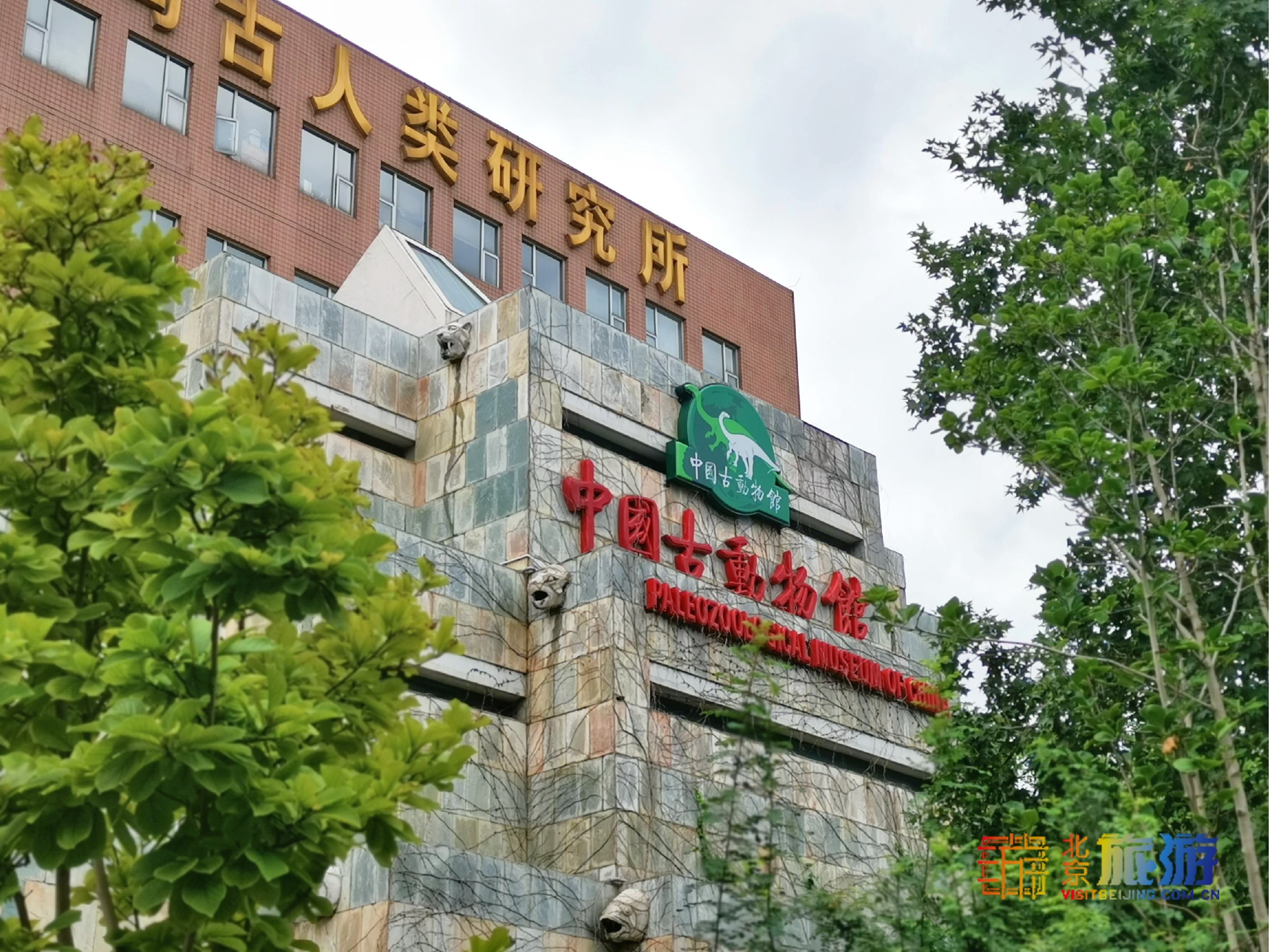 アジア最大の古動物博物館：中国古動物館