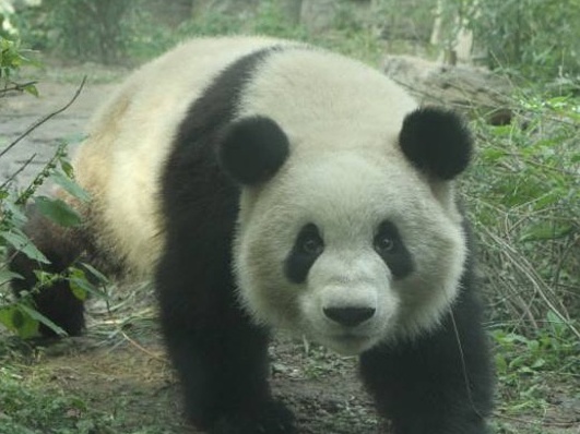 Experiencias destacadas en Beijing