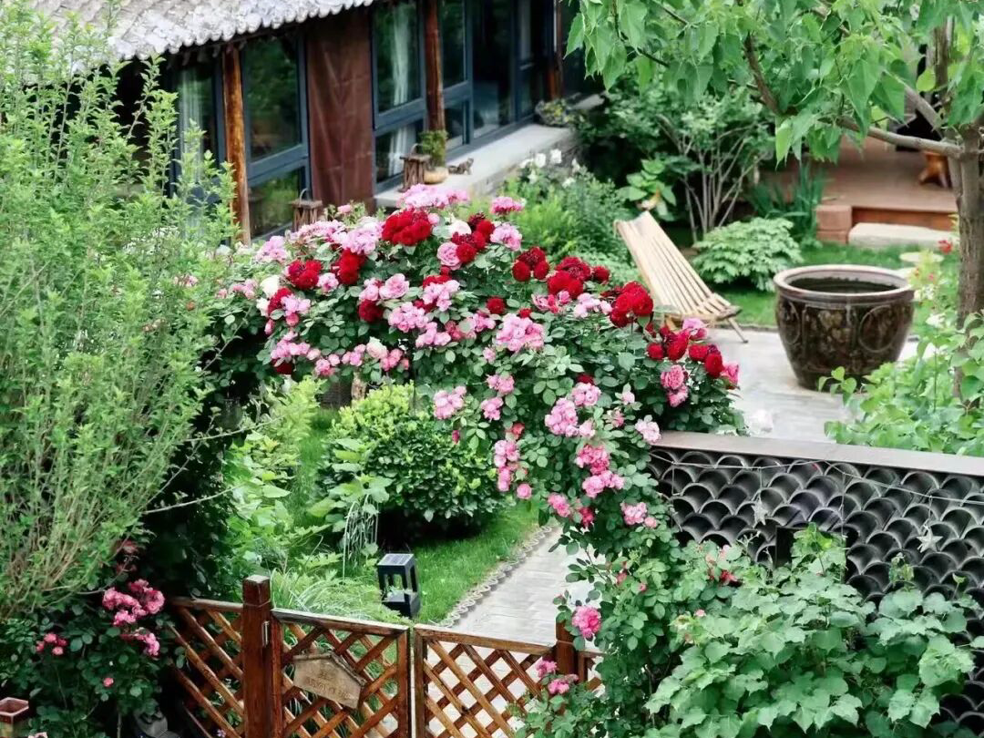 金牌推荐 | 2025年北京市“乡村·美”系列——美丽乡宿之一