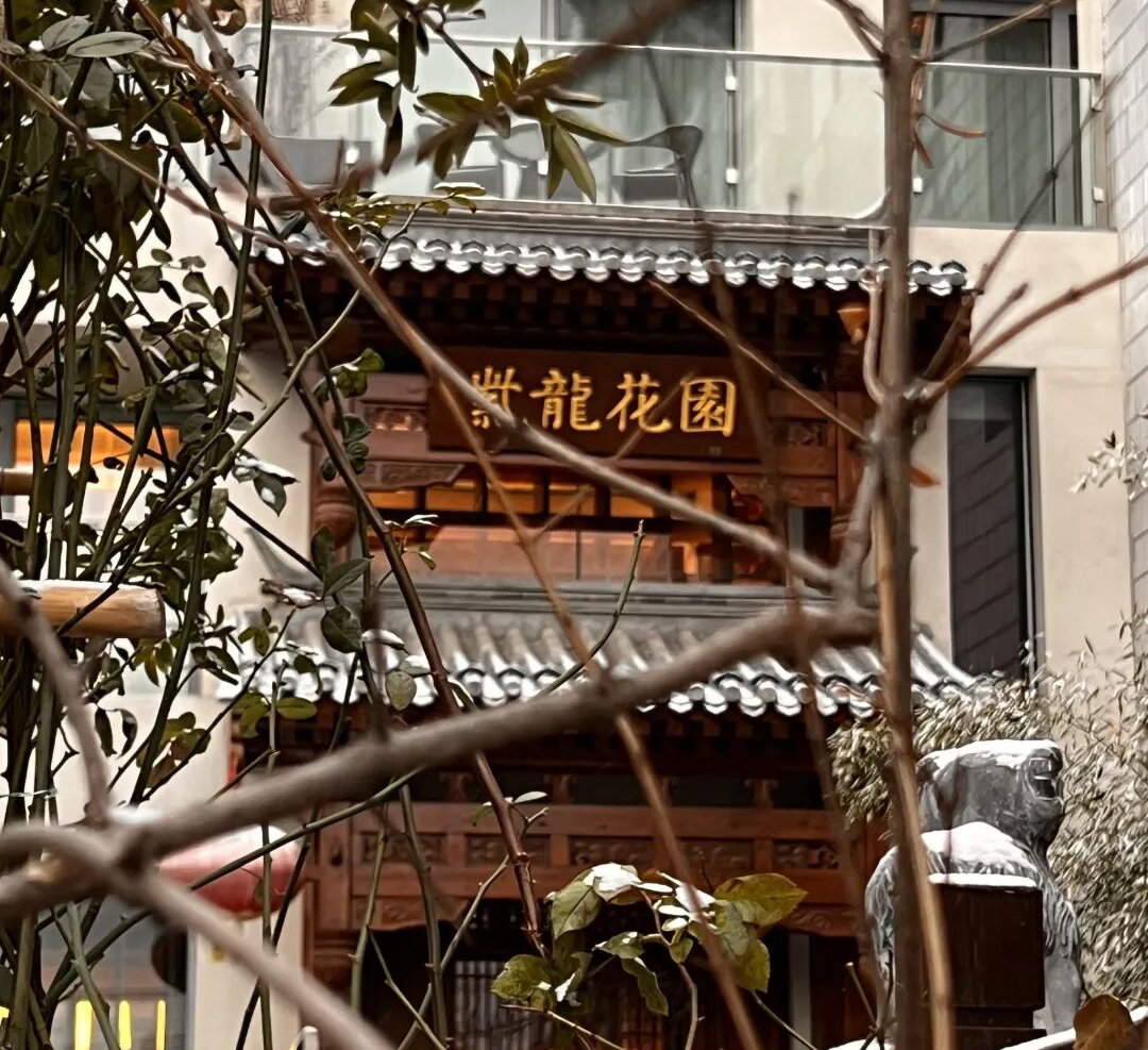老街新颜 I 藏在北京胡同里的治愈酒店，出则繁华，入则静谧。