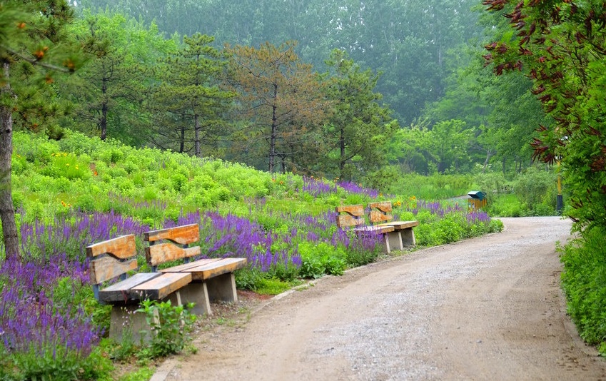 Parque Nacional del Humedal Urbano de Cuihu