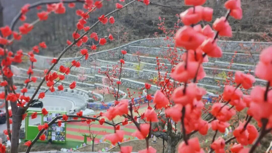 不止司马台长城免票！北京“三八”妇女节活动汇总来了——