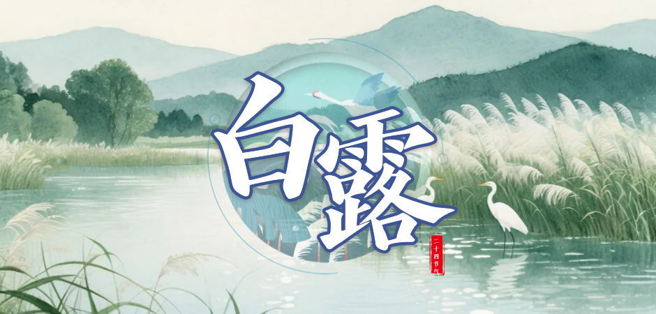 白露