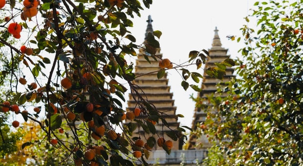 北京五塔寺原来有这么多名字