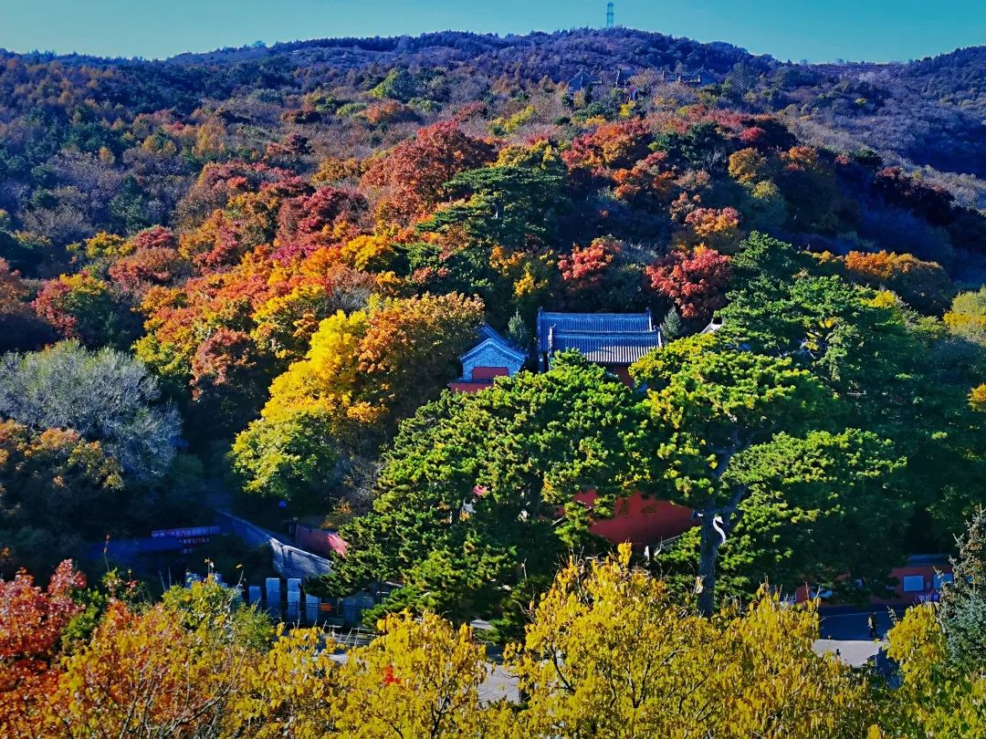 サイクリングコースー錦絵のように素晴らしい景色・妙峰山