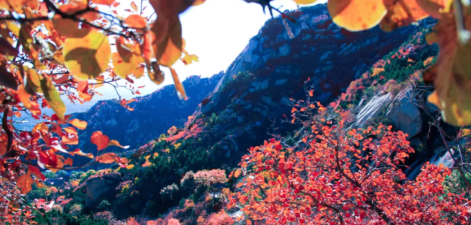 赏红叶+花海，就去北京这座山