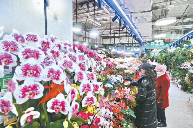 年宵花市以“马”为媒新意浓