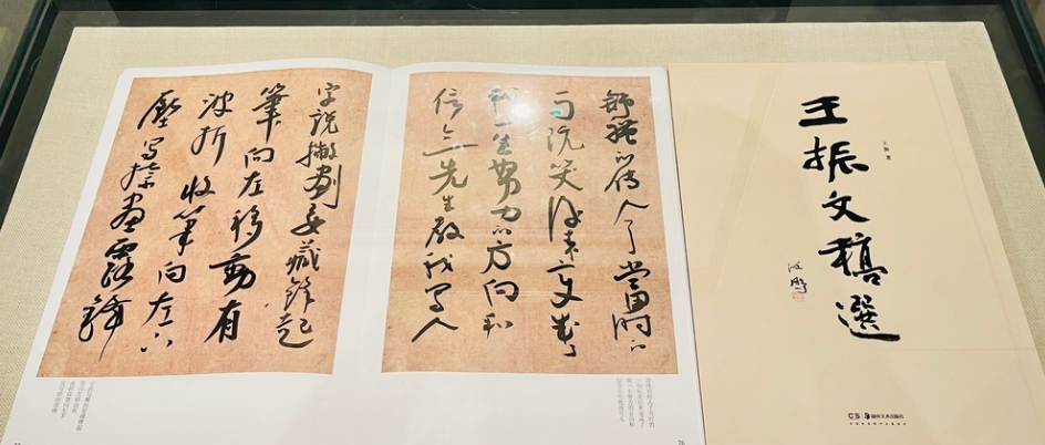 Poetry Charm of Calligraphy Exhibition of Wang Zhen's Calligraphy Works