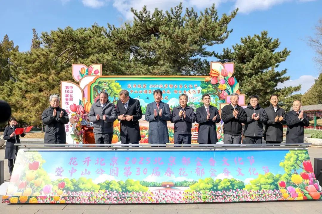 2025北京郁金香文化节暨中山公园第30届春花·郁金香文化节开幕
