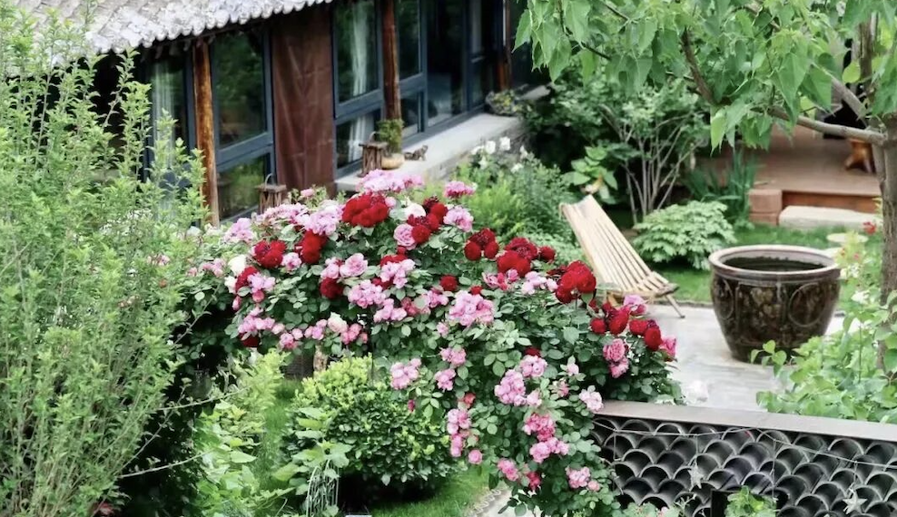 金牌推荐 | 2025年北京市“乡村·美”系列——美丽乡宿之一