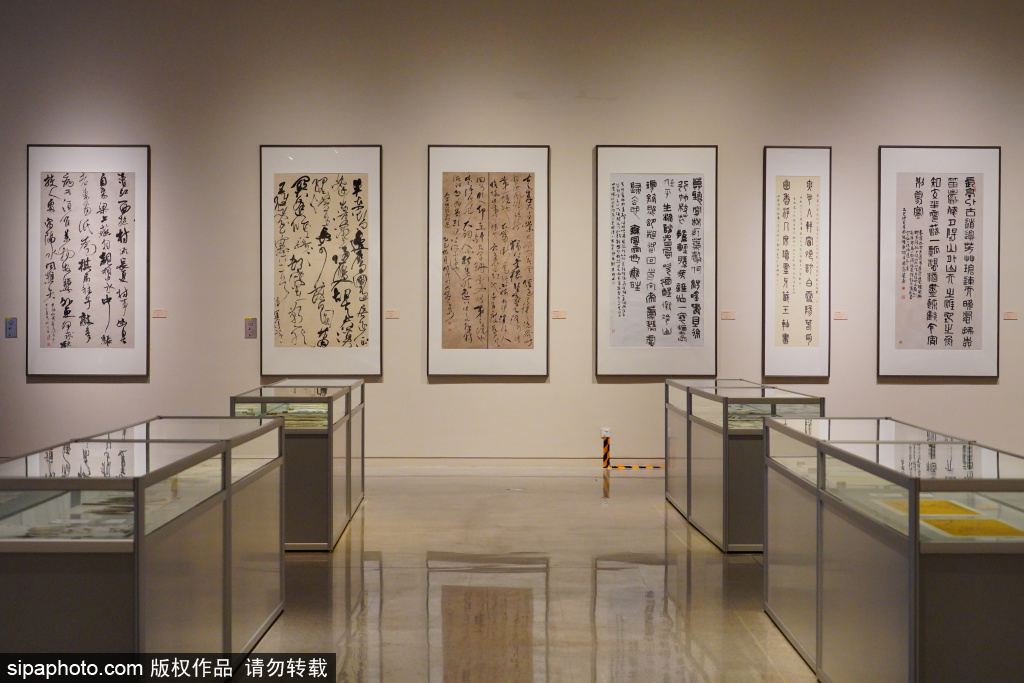 遵道得路——中国艺术研究院艺术培训中心2024级结业作品展