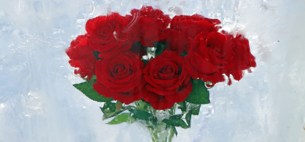 Weekend Getaways in Beijing Suburbs | Enjoy the ice-encased roses in Pinggu