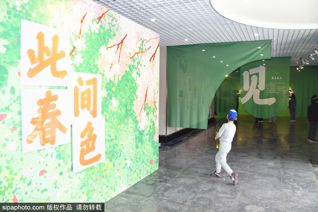 玉渊潭《此间春色》主题展绘就诗意游园体验