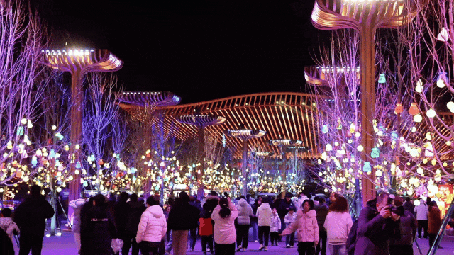 赴一场元宵非遗花会，这份元宵“剧透”请收好