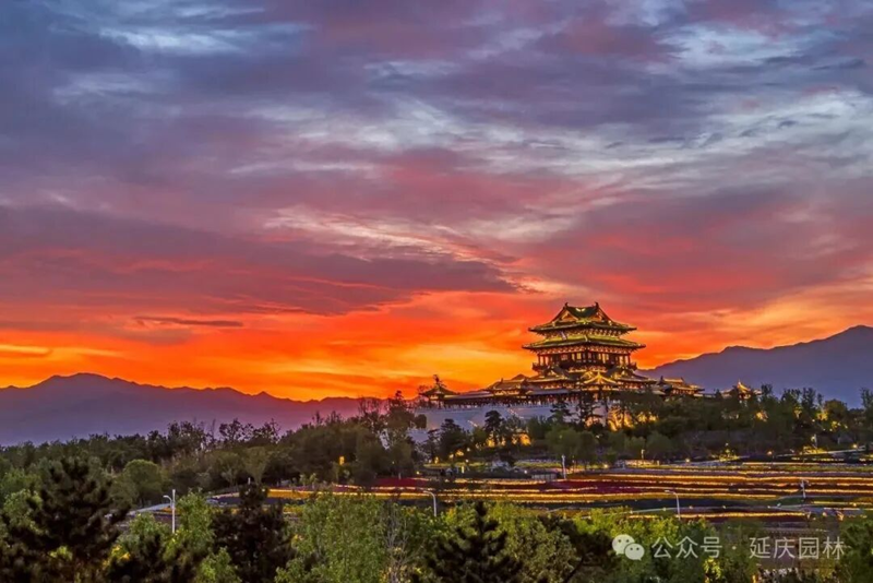 Пекинский музыкальный фестиваль «Супер-клубника» 2026 года