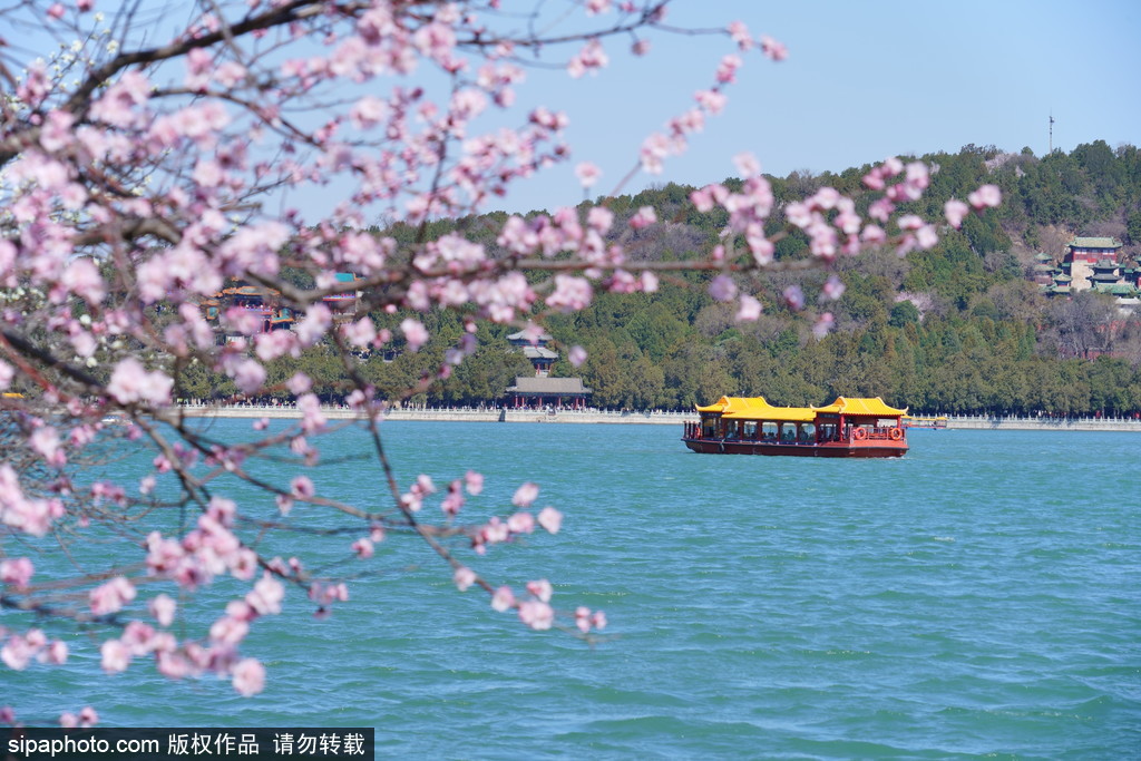 北京市文化和旅游局发布“北京春日十大赏花胜景地”：颐和园