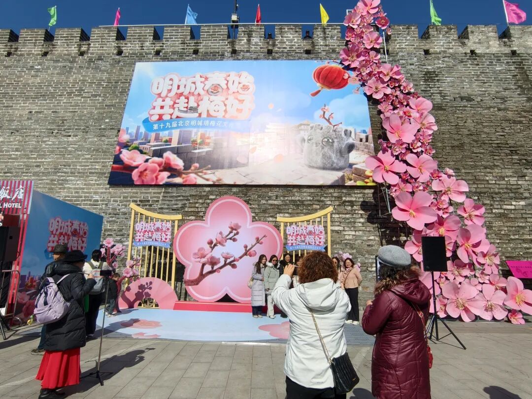 明城墙梅花文化节启幕
