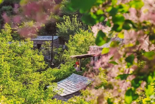 🥰颜值爆表！20万株黄栌灿如烟花！绝美“云上花境”来了 | 周末京郊微度假