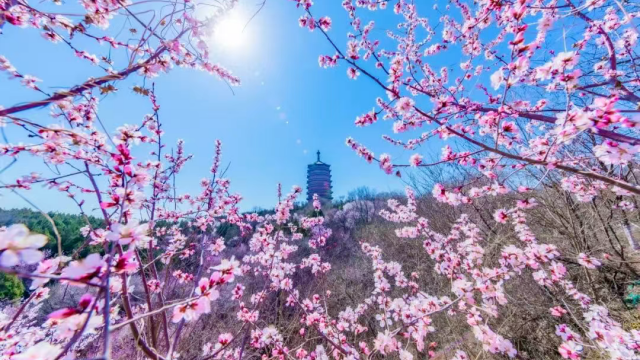 开放啦！北京春日“隐藏玩法”来了！