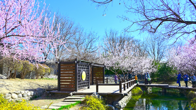 北京前门藏着个 “小江南”！三里河公园春日刷屏