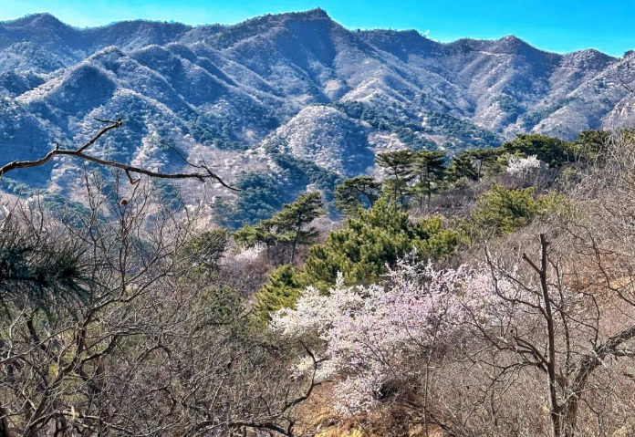 昌平4条宝藏赏花线路，速来收藏