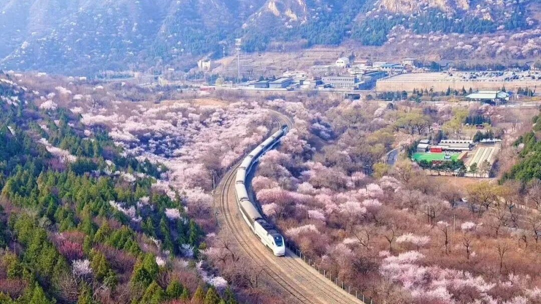 放春假了，来北京研学旅游呗——北京推出10条“漫步北京-春假清明研学主题游线路”