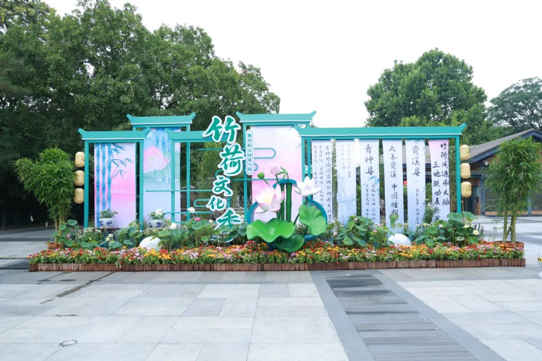 来紫竹院公园开启光影夜游