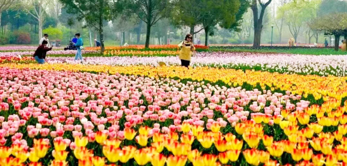 抢先看！五一假期，北京活动汇总来了（第一波）