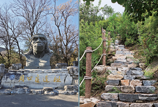 19 Sentier forestier de Xishan pour gravir les pics et admirer les paysages (section du Site de Zhoukoudian)