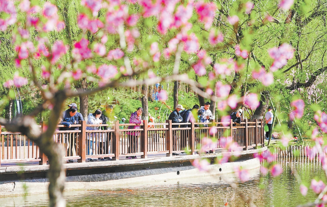 市属公园踏青赏花人气旺