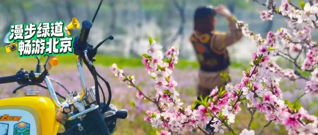 春日浪漫即将开启，解锁一路繁花相伴