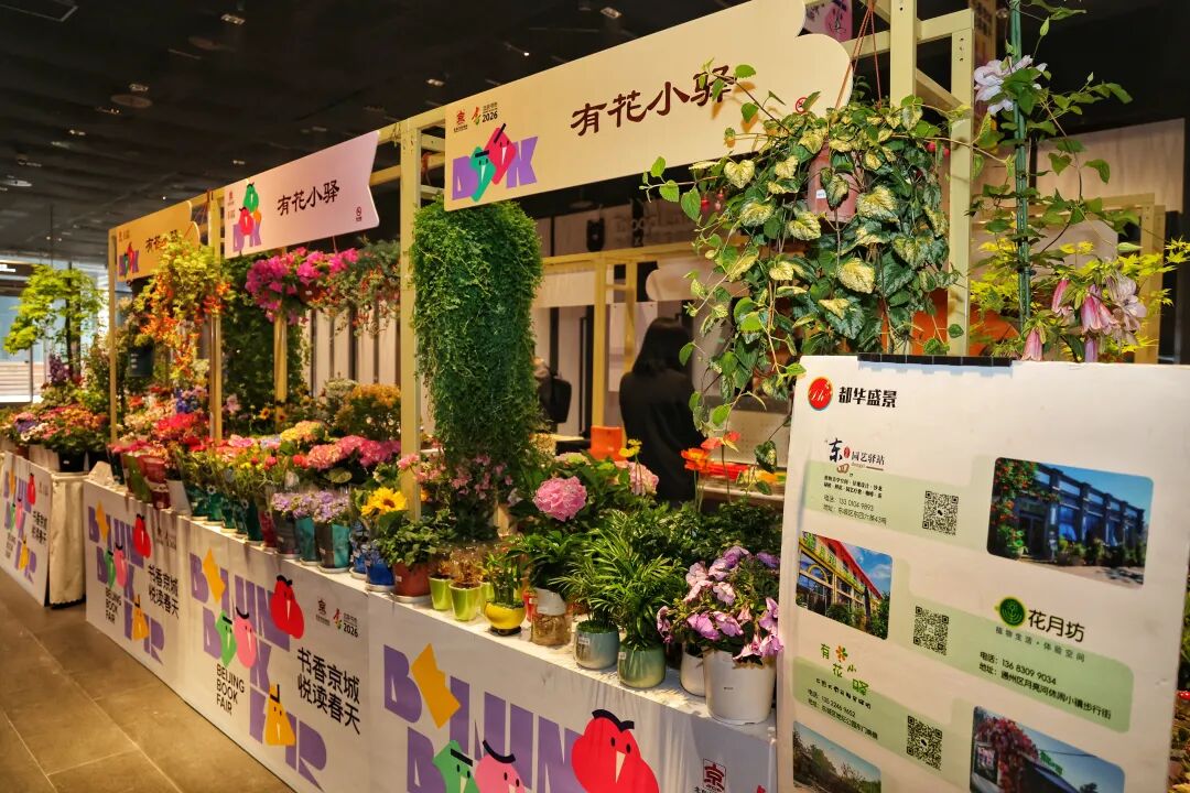 有书、有花、有电影！隆福潮集把春天和书香一起打包送给你！