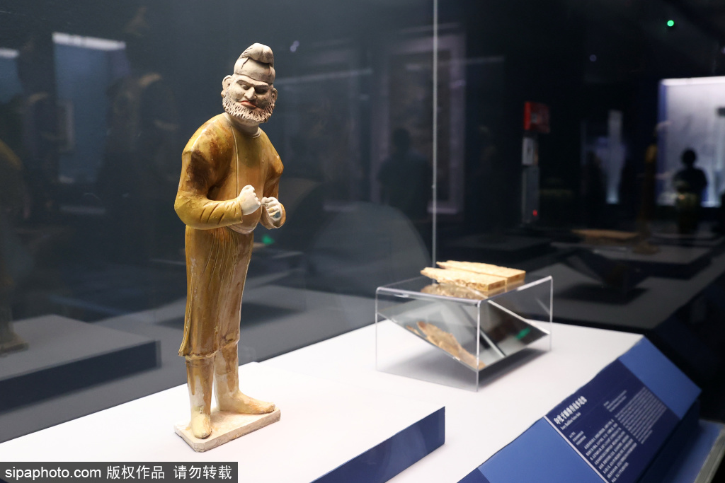 上海合作组织国家文博机构首次在北京举办文物联展