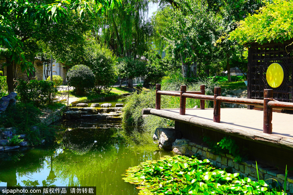 夏季清凉秘境 三里河公园景色宜人