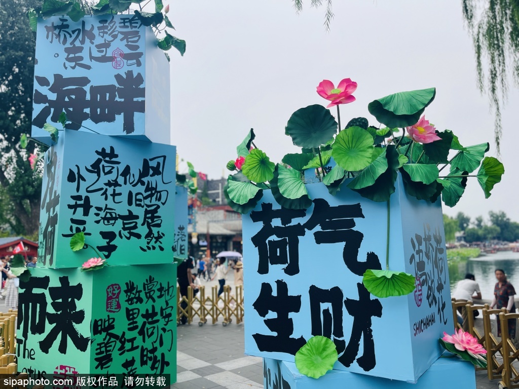 什刹海观荷节“千年海畔 为荷而来”