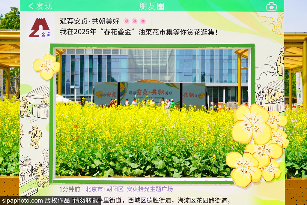 安贞拾光主题广场“春花鎏金”油菜花市集