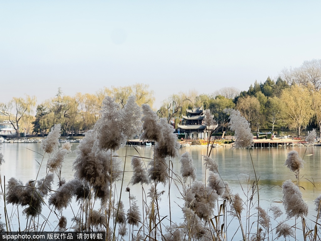 冬意盎然的陶然亭公园