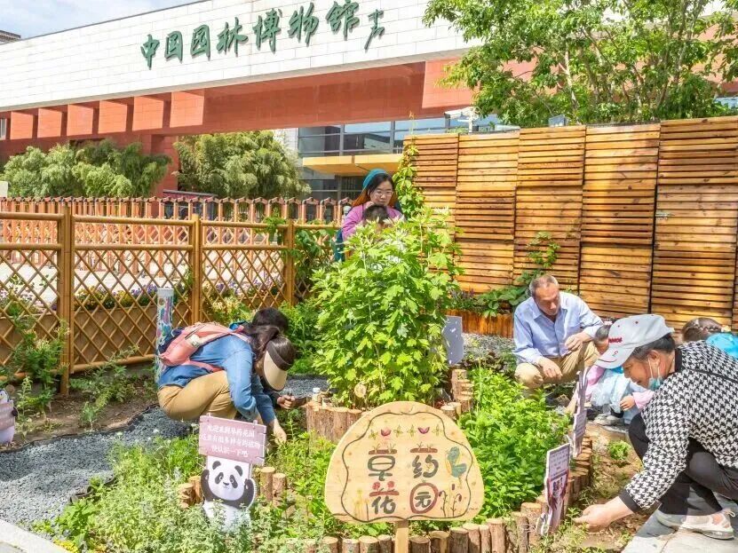 抢先看！北京端午假期活动汇总来了——