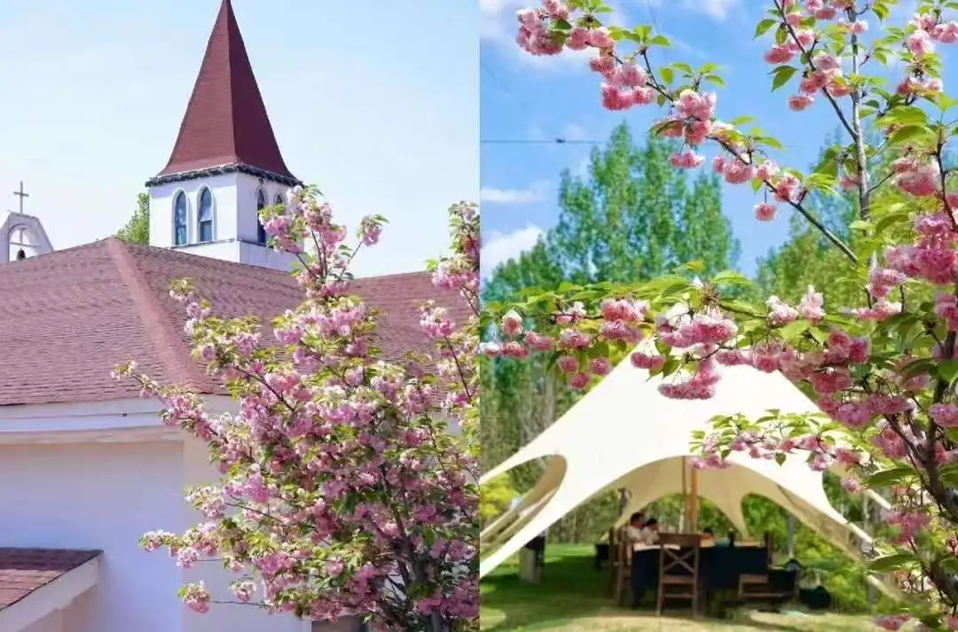 Festival de Hanfu y Flores de The Hu Resort